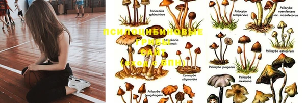 скорость Гусев